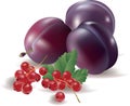 Heathy berry, berry mix, tasty food, branch, currants, art, vegan, green, fruits, harvest, garden, background, concepts, sugar ber