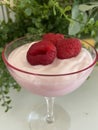Heathy Morning Breakfast or Afternoon Snack of Raspberry Yogurt topped with fresh Raspberries