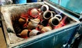 Heating clay pots in coal to make tea Royalty Free Stock Photo