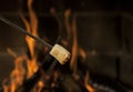 Heating marshmallow at a fireplace