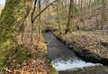 Heaton Woods, winter woodland scene, with the, Red Beck, old trees, and fallen leaves in, Bradford, UK Royalty Free Stock Photo