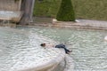 Heatwave in Paris, 2019 People using the fountains in the Trocadro Gardins in an effort to cool down