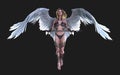 The Heaven Angel Wings with Clipping Path.