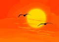 Heaven. Birds with orange sunset Royalty Free Stock Photo