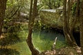 Stream in Ida Mountain, Beautiful nature. Turkey