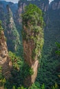 Heaven Pillar Hallelujah Mountain in Zhangjiajie