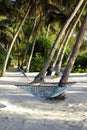 Heavenly beach with hammock