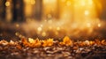 Heavenly lights scattered in a closeup of leaves on the ground