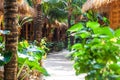 heavenly vacation on phi phi don island in thailand in a hotel with bamboo bungalow among palm trees Royalty Free Stock Photo