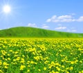 Heavenly view: clover meadow and a hill