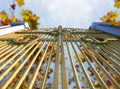 Heavens Golden Gates And Autumn Leaves