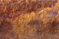 Heavily rusted and corroded metal sheet