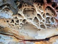 Honeycomb Sandstone Patterns, Bondi Beach, Australia
