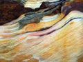 Weathered Sandstone Patterns, Bondi Beach, Australia