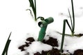 Heavily used cracked old dilapidated light green plastic hole puncher garden tool left in snow covered garden Royalty Free Stock Photo