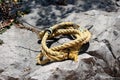 Heavily used dilapidated broken old yellow fishing rope repaired with plastic zip ties and left wrapped on rocky beach Royalty Free Stock Photo