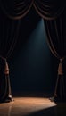 Heavy black theatrical drapes, shimmering gold accents, intense spotlight , dramatic, setting, fabric