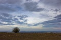 Heavy clouds over the flat prairie agricultural land with a lonely tree at late autumn Royalty Free Stock Photo