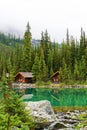 Lake O`Hara at Sargent`s Point in the Canadian Rockies of Yoho National Park