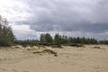 Heavy dark blue with tint of grey clouds in the cold summer sky over  green forest growing in the sand. North Royalty Free Stock Photo