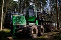 Heavy equipment for harvesting wood.