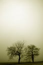 Heavy Fog Royalty Free Stock Photo