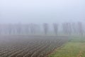 Heavy fog in the fields in the winter Royalty Free Stock Photo