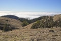 Heavy fog over the Pacifi Ocean in San Francisco Royalty Free Stock Photo