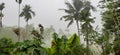 Heavy Fogg in panamaram wayanad