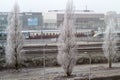 Heavy frost near Amsterdam central station