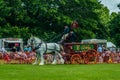 Heavy Horse show at Capel Manor June 2017 Royalty Free Stock Photo