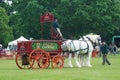 Heavy Horse show at Capel Manor June 2017 Royalty Free Stock Photo