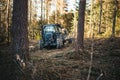 Heavy industrial machinery working in the forest. Harvester in a spruce forest working with logs. Heavy machinery.