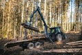 Heavy industrial machinery working in the forest. Harvester in a spruce forest working with logs. Heavy machinery.