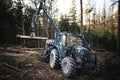 Heavy industrial machinery working in the forest. Harvester in a spruce forest working with logs. Heavy machinery.