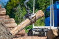 Heavy lifting crane loading cut wooden logs