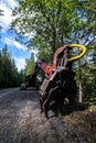 Heavy Machine for Loading Cut Trees Royalty Free Stock Photo