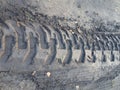 Heavy machinery wheel marks on wet ground. Tractor tire track Royalty Free Stock Photo