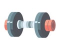 heavy metal weights dumbbell