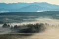 Heavy Mist in Grand teton national Park