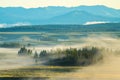 Heavy Mist in Grand teton national Park