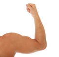 Heavy muscled male arm Royalty Free Stock Photo