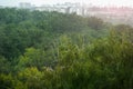 Heavy pouring summer rain over green forest or city park trees. Rainstorm downpour weather. Sun shining after storm ending Royalty Free Stock Photo