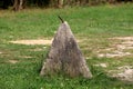 Heavy pyramid like concrete barrier with strong rusted metal hook on top surrounded with high uncut grass and trees