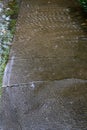 Heavy rain caused flooding over sidewalk and grass strip