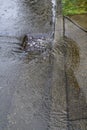 Heavy rain caused flooding in street, water swirling around storm drain Royalty Free Stock Photo