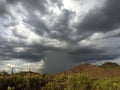 Heavy rain in the desert Royalty Free Stock Photo