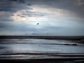 Heavy rain falling on a dark beach at low tide with dramatic storm clouds reflected on the wet sand with a line of footprints Royalty Free Stock Photo