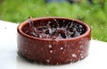 Heavy rain falls In a ceramic bowl filled with water Royalty Free Stock Photo
