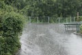 Heavy rain Royalty Free Stock Photo